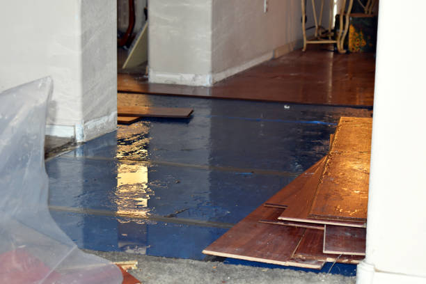 Professional Sewage Cleanup technician working in Granby, MA